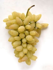 Pizzutello white grapes