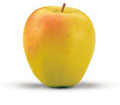 Golden Delicious
