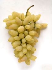 Uva Pizzutello Bianca